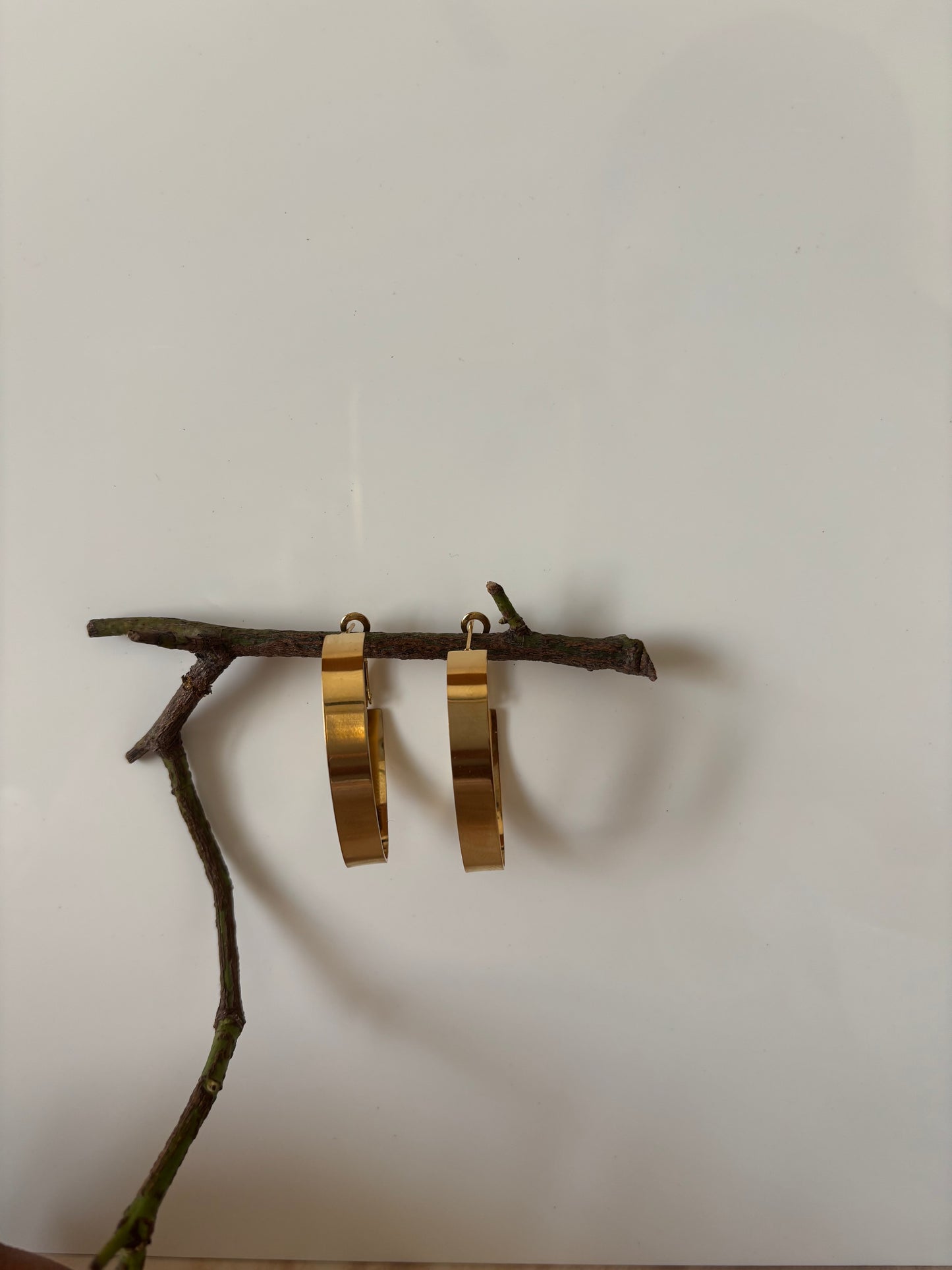 Golden oval me big hoops