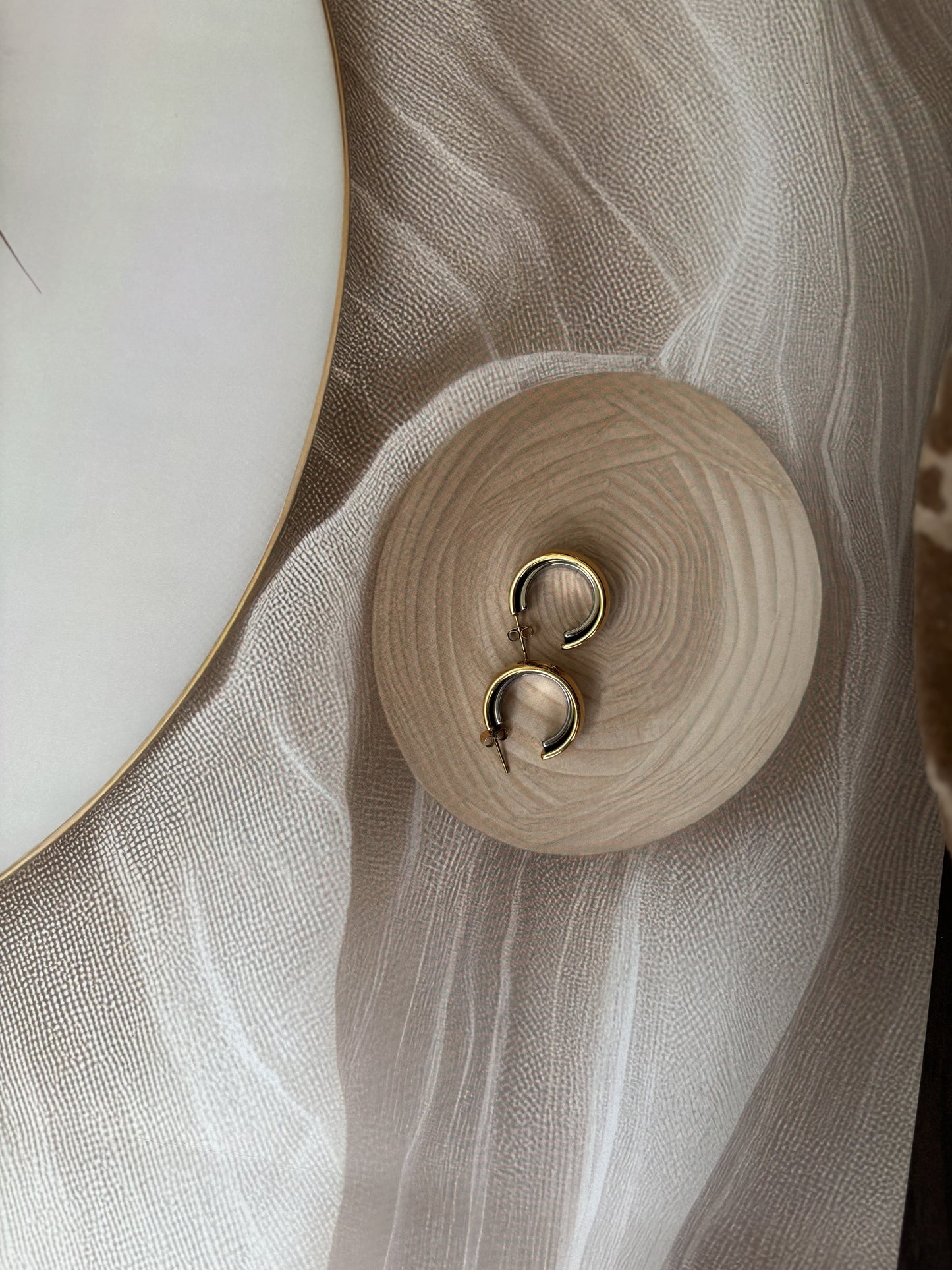 Antitarnish Round dual tone earrings