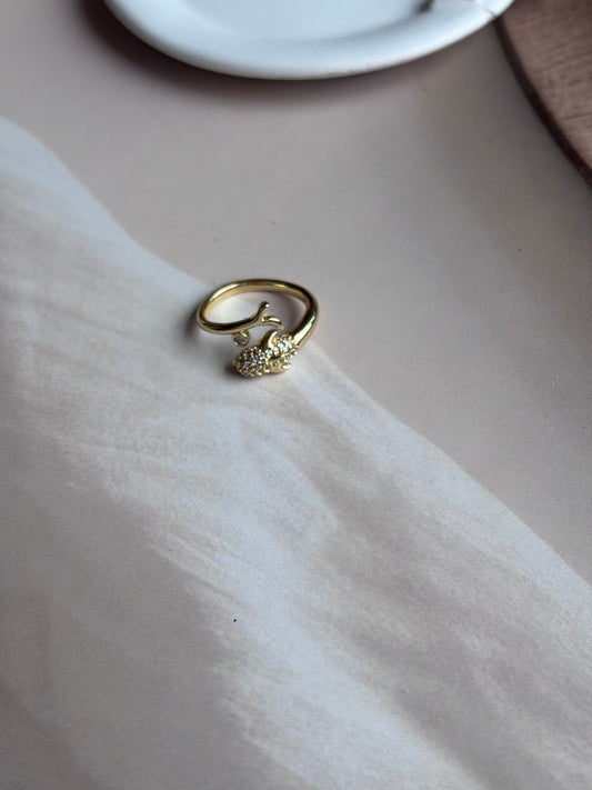 Dolphin ring, studded
