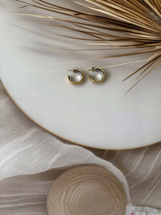 Antitarnish Round dual tone earrings